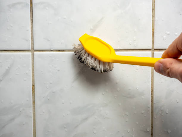 Best Certified Mold Removal  in Montebello, CA