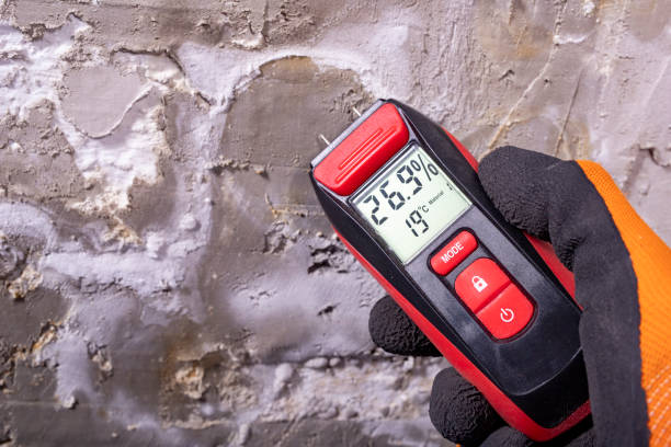 Best Mold Testing  in Montebello, CA