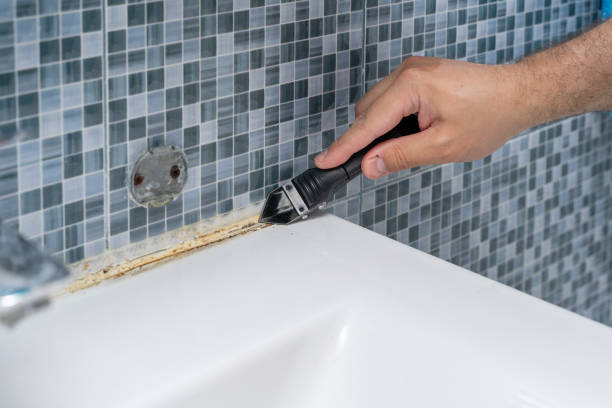 Best Mold Testing  in Montebello, CA